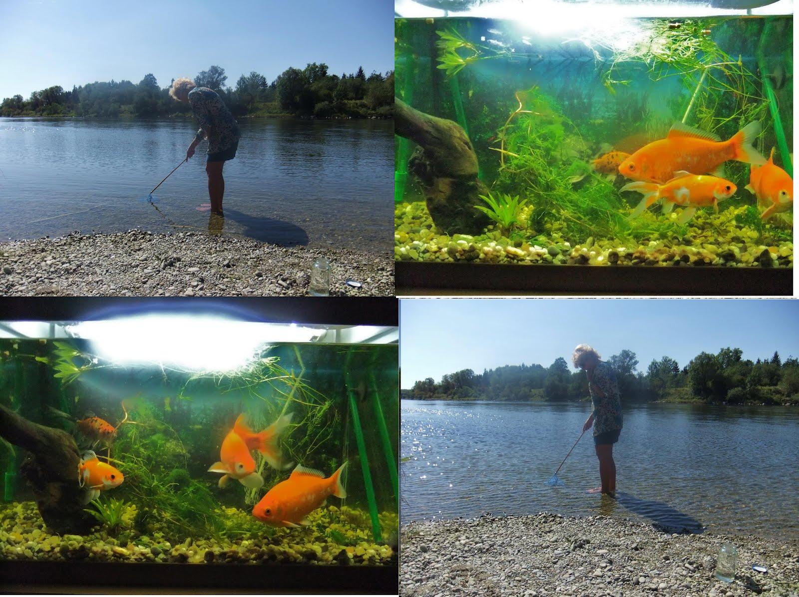 nice things  - pescuit.jpg